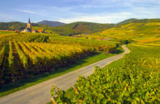 route des vins alsace mulhouse